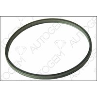 Exhaust Sealing Ring Autogem Fits: CITROEN C4