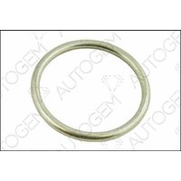 Gasket Autogem Fits: NISSAN MURANO