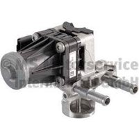 Egr Valve PIERBURG Fits: FORD PUMA