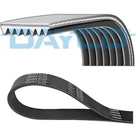 Ribbed Belt DAYCO Fits: ISUZU RODEO