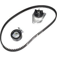 Ina Citroen Berlingo Multispace Cam / Timing Belt Kit & Water Pump | 530033530 | GSF Car Parts