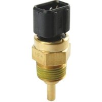 Intermotor Coolant Temperature Sensor | 55548 | GSF Car Parts