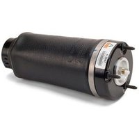 Air Spring - Front Arnott Fits: MERCEDES R300