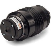 Air Spring - Rear Arnott Fits: MERCEDES E55