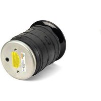 Air Spring - Rear Arnott Fits: IVECO DAILY