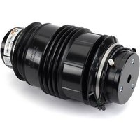 Air Spring - Rear Lh Arnott Fits: MERCEDES E200
