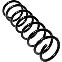 AMTEX Ford Focus Coil Spring - Rear | 0012 | GSF Car Parts