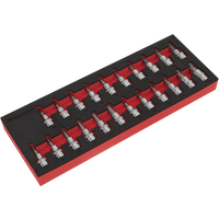 SEALEY Trx-Star*/hex/spline Socket Bit Set 22Pc 3/8"sq Drive | AK6243 | GSF Car Parts