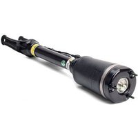 Arnott Air Spring Strut - Front | AS-2450 | GSF Car Parts