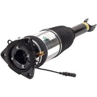 Arnott Air Spring Strut - Rear Right Hand | AS-2968 | GSF Car Parts