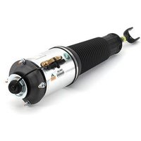 Air Spring Strut Arnott Fits: AUDI A8