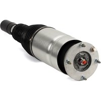 Air Spring Strut - Front Rh Arnott Fits: LAND ROVER RANGE ROVER