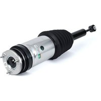 Air Spring Strut - Rear Arnott Fits: TESLA MODEL X