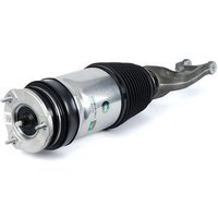 Air Spring Strut - Front Arnott Fits: TESLA MODEL X