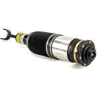 Air Spring Strut - Front Arnott Fits: AUDI A6