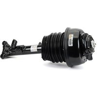 Air Spring Strut - Front Rh Arnott Fits: MERCEDES E200