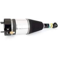Air Spring Strut - Rear Rh Arnott Fits: BMW 530