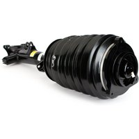 Air Spring Strut Arnott Fits: MERCEDES CLS400