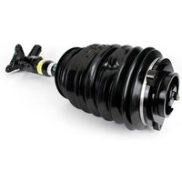Air Spring Strut - Front Rh Arnott Fits: MERCEDES E250