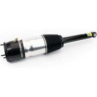 Air Spring Strut - Rear Arnott Fits: TESLA MODEL S