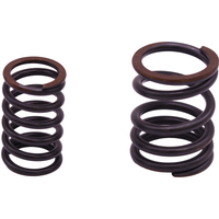 Valve Spring Set ASPA