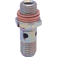 Fuel Check Valve ASPA