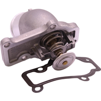 Thermostat Insert ASPA
