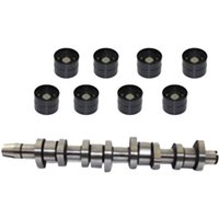 BGA Seat Altea Camshaft | CS9901K | GSF Car Parts