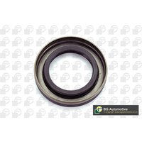 Camshaft Seal - Front Bga Fits: SEAT IBIZA