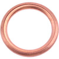 Sump Plug Washer Bga