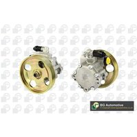 Steering System Hydraulic Pump Bga Fits: CITROEN DISPATCH