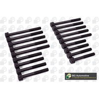 Cylinder Head Bolt Kit Bga Fits: KIA SEDONA I (UP) 2.9 TDi