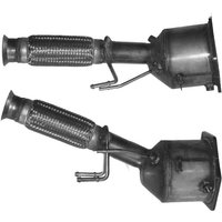Diesel Cat BMCATS Fits: PEUGEOT 607