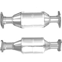 Homologated Petrol Cat BMCATS Fits: NISSAN TERRANO