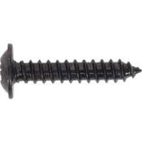 SEALEY Self-Tapping Screw 3.5 X 19mm Flanged Head Black Pozi Pack Of 100 | BST3519 | GSF Car Parts