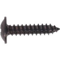 SEALEY Self-Tapping Screw 4.2 X 19mm Flanged Head Black Pozi Pack Of 100 | BST4219 | GSF Car Parts
