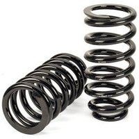 Shock Absorber Conversion Kit - Rear Arnott Fits: MERCEDES E240