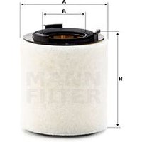 MANN Skoda Roomster Air Filter | C15008 | GSF Car Parts