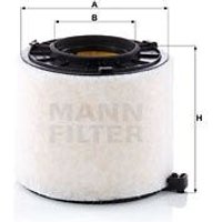 MANN Air Filter | C17010 | GSF Car Parts