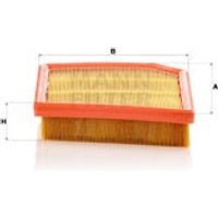 MANN BMW 2 Series Gran Coupe Air Filter | C29031 | GSF Car Parts