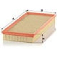 MANN Air Filter | C40163 | GSF Car Parts