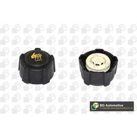 Radiator Cap Bga