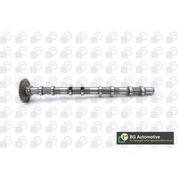 Camshaft Bga Fits: BMW 5 Gran Turismo (F07) 520 d