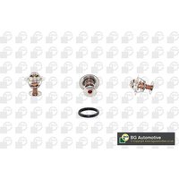 Thermostat Bga Fits: LAND ROVER DISCOVERY Mk II (L318) 2.5 Td5 4x4
