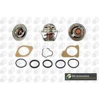 Thermostat Bga