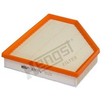 Air Filter HENGST Fits: BMW 4 Convertible (G23, G83)