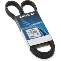 Ribbed Belt DAYCO Fits: SKODA SUPERB