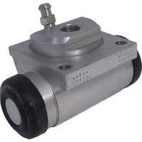 Delphi Nissan Kubistar Wheel Cylinder - Rear Right | LW80101 | GSF Car Parts