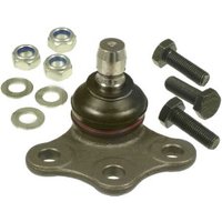 Delphi Ball Joint - Front | TC1003 | GSF Car Parts