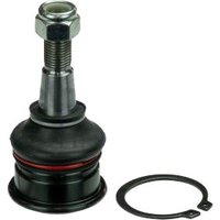 Delphi Ball Joint - Front | TC1006 | GSF Car Parts